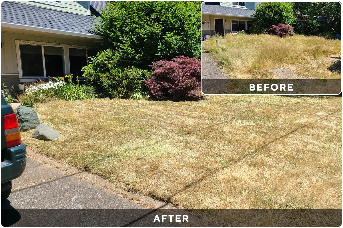 Before-After-2